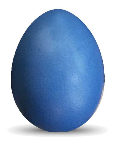 Batik Egg Dye Blue