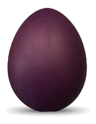 Batik Egg Dye Plum